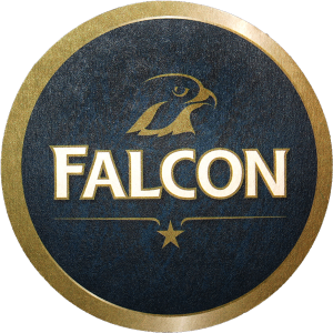 0 100 Falcon 0Q7a+.png